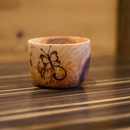 Garni Melanie Hotel Wals-Siezenheim